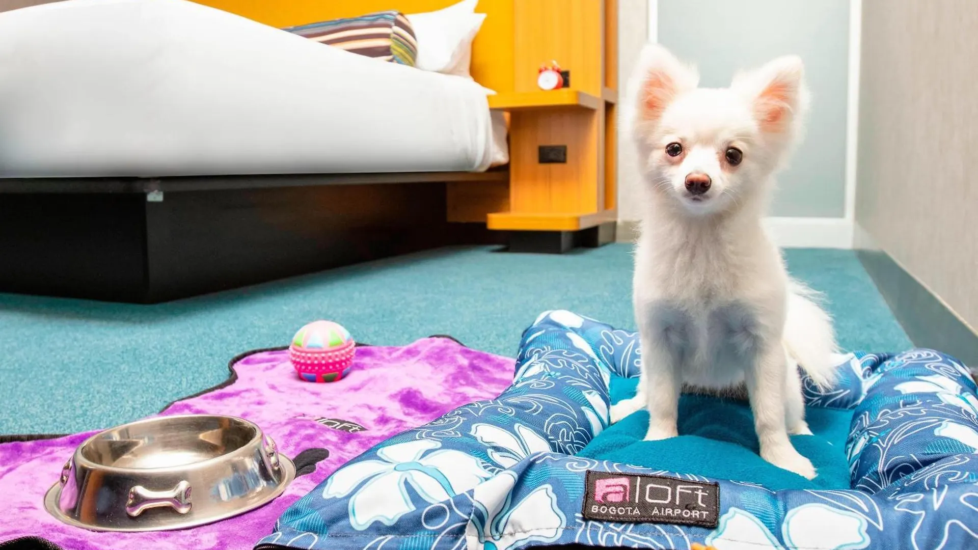 Aloft Bogota Airport Otel